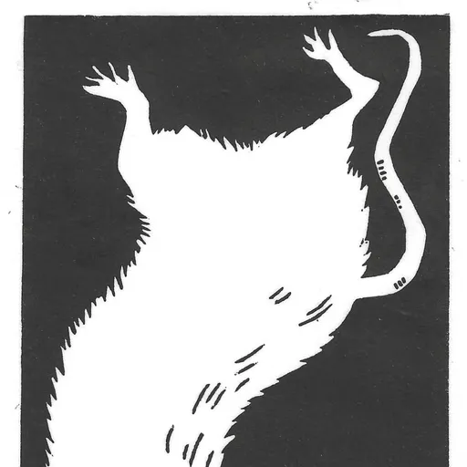 Avatar von Nager